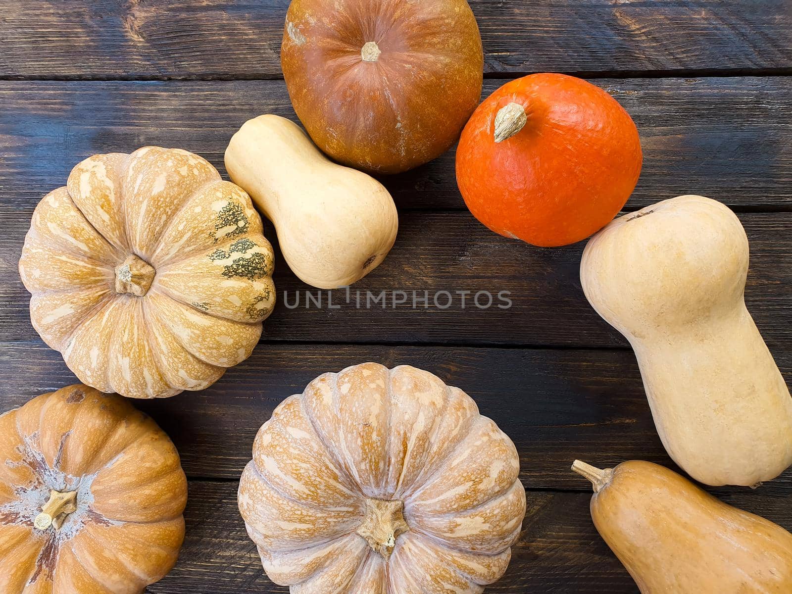 There are various pumpkins on the wooden table by Spirina