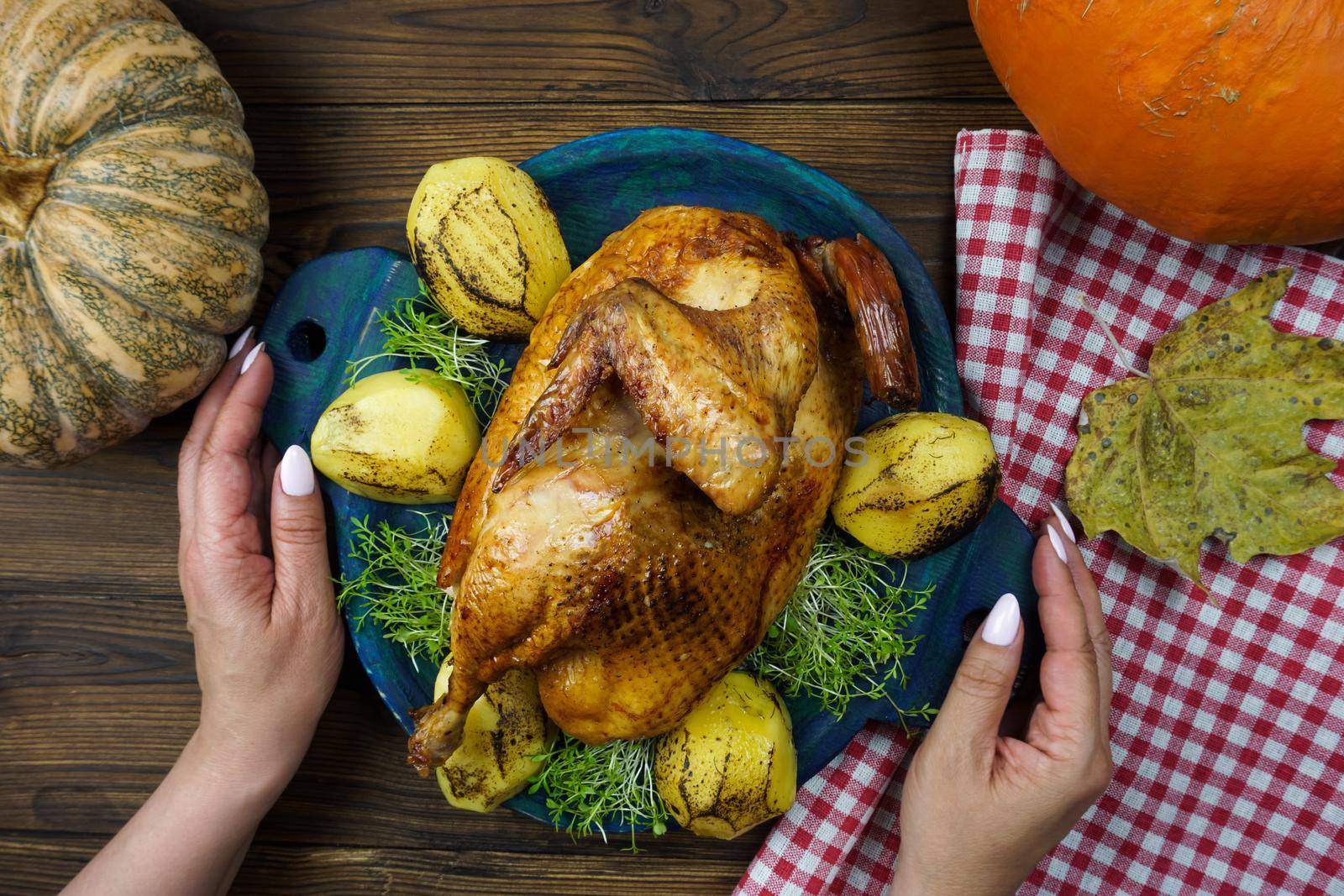 Women's hands serve freshly cooked chicken with potatoes and micro-greenery on the table. Ripe pumpkins are lying on a wooden table. Preparing the table for Thanksgiving.