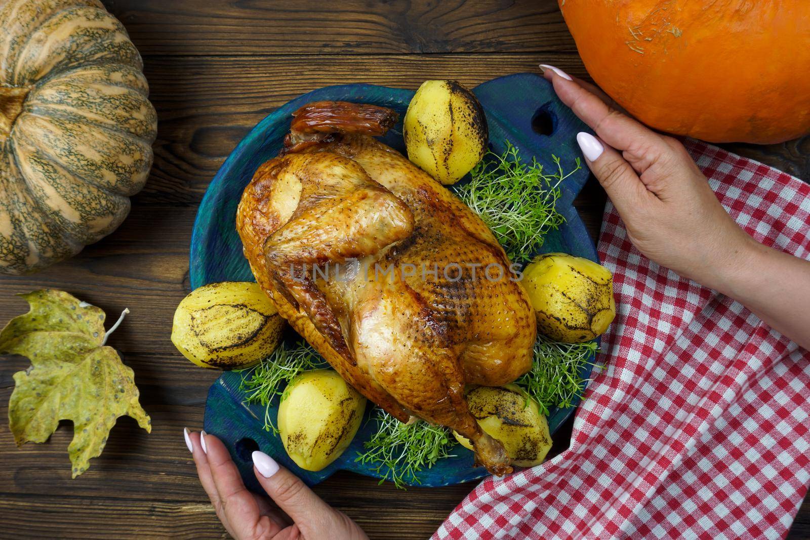 Women's hands serve freshly cooked chicken with potatoes and micro greenery on the table by Spirina
