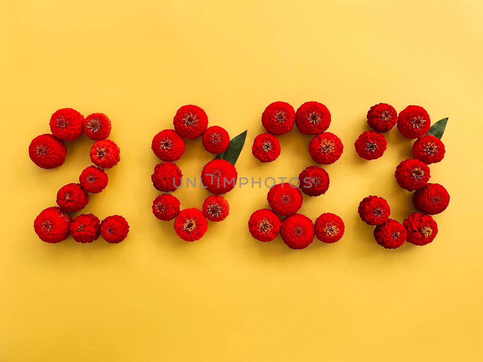 The numbers 2023 are laid out on a yellow background with red flowers of cynia. High quality photo