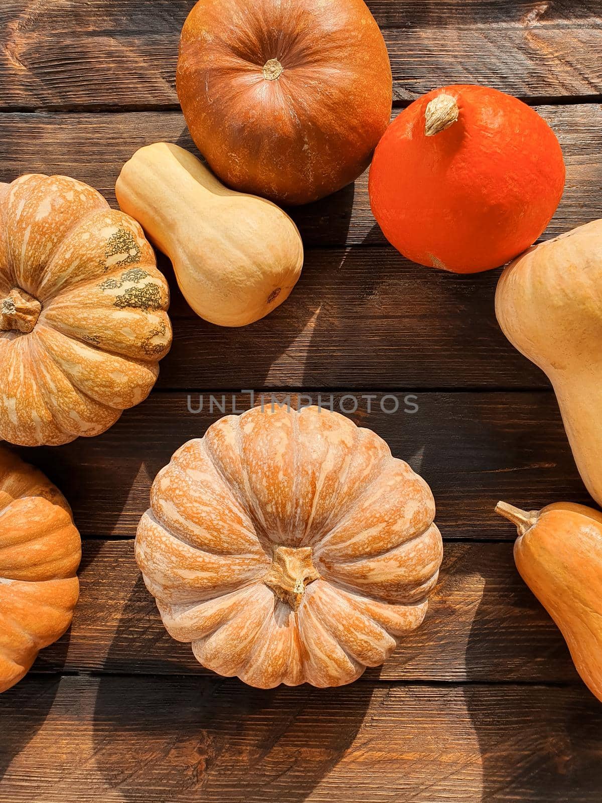 There are various pumpkins on the wooden table. High quality photo