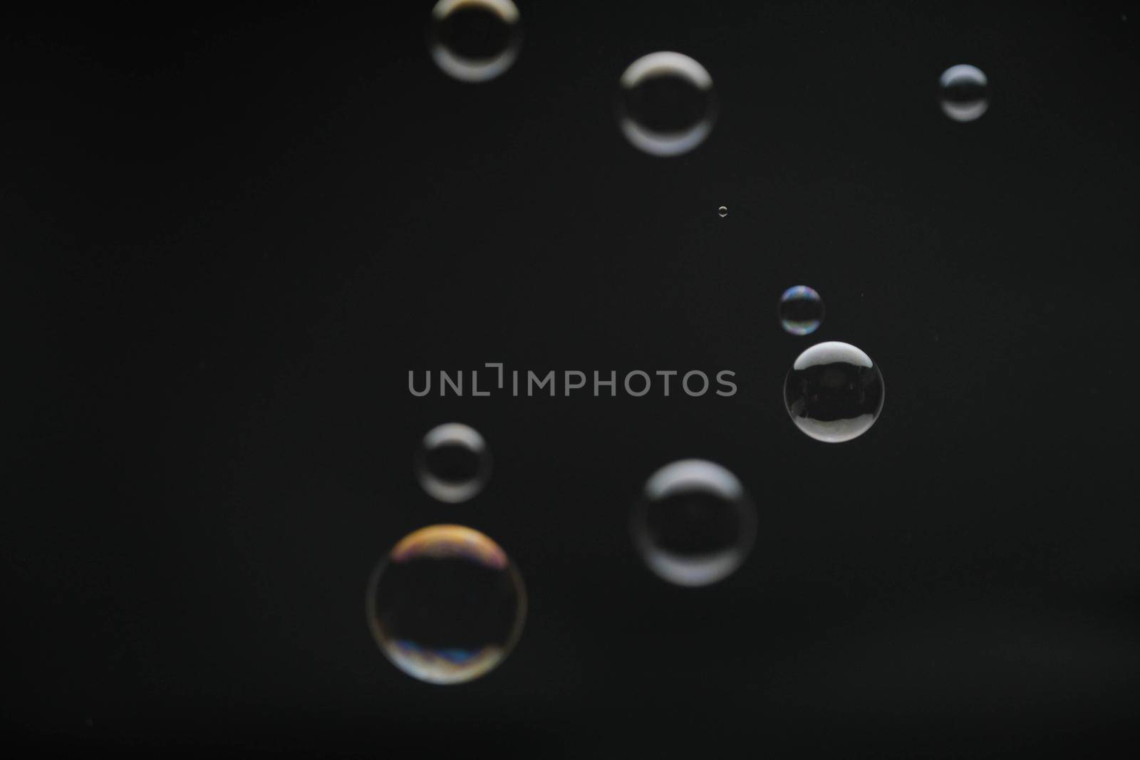 Flying soap bubbles on black background. Abstract soap bubbles with colorful reflections. Soap bubbles in motion background.