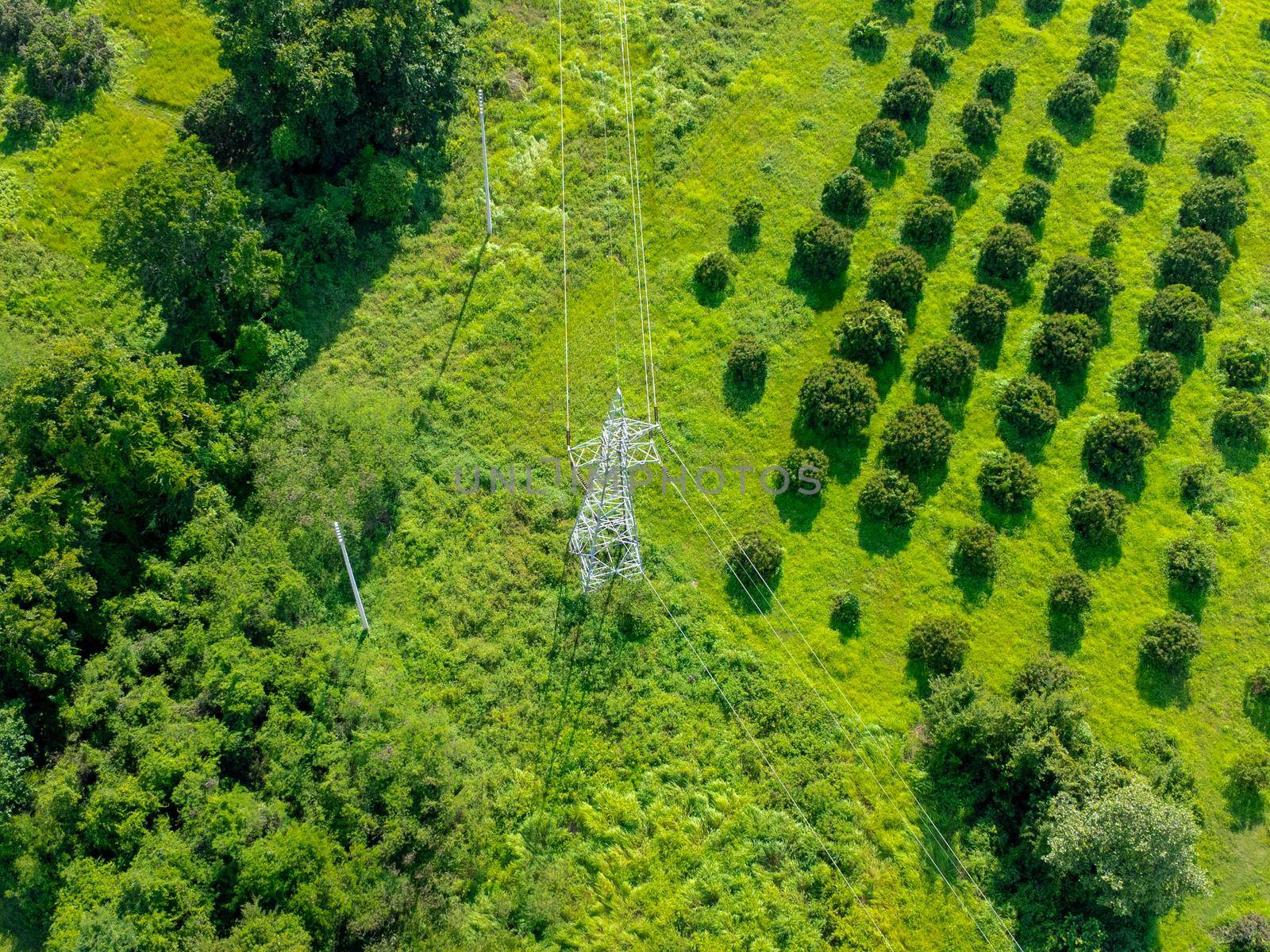 Aerial view by drone of High-voltage poles in the forest. Flight over power transmission lines in green field countryside.