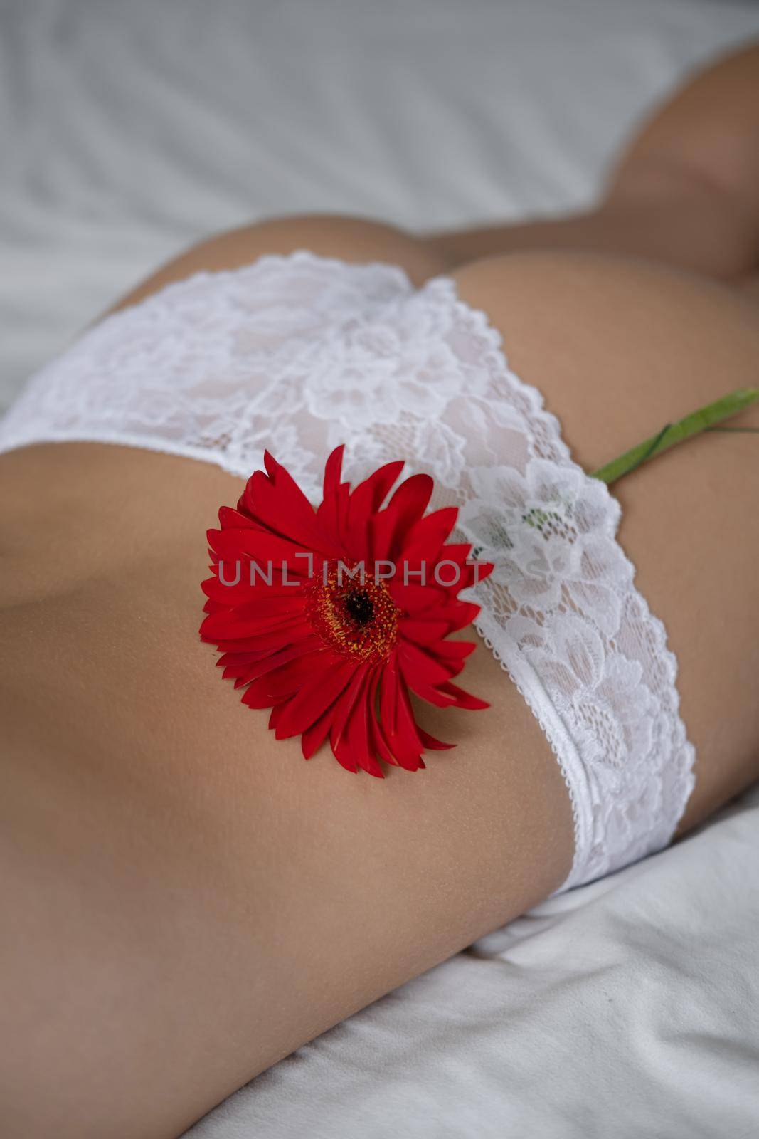 Cropped view of young woman in lace panties with flower near underwear on bed. epilate bikini zone. oncept of female health, reproductive, gynecology. spa body beauty legs.