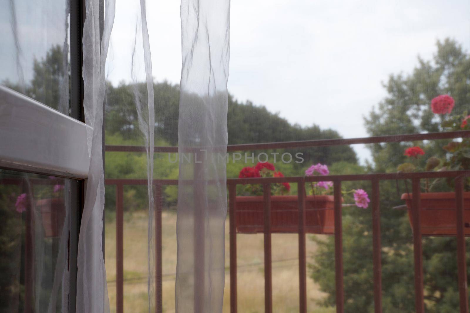 light transparent curtain on the open balcony overlooking the forest by Annado