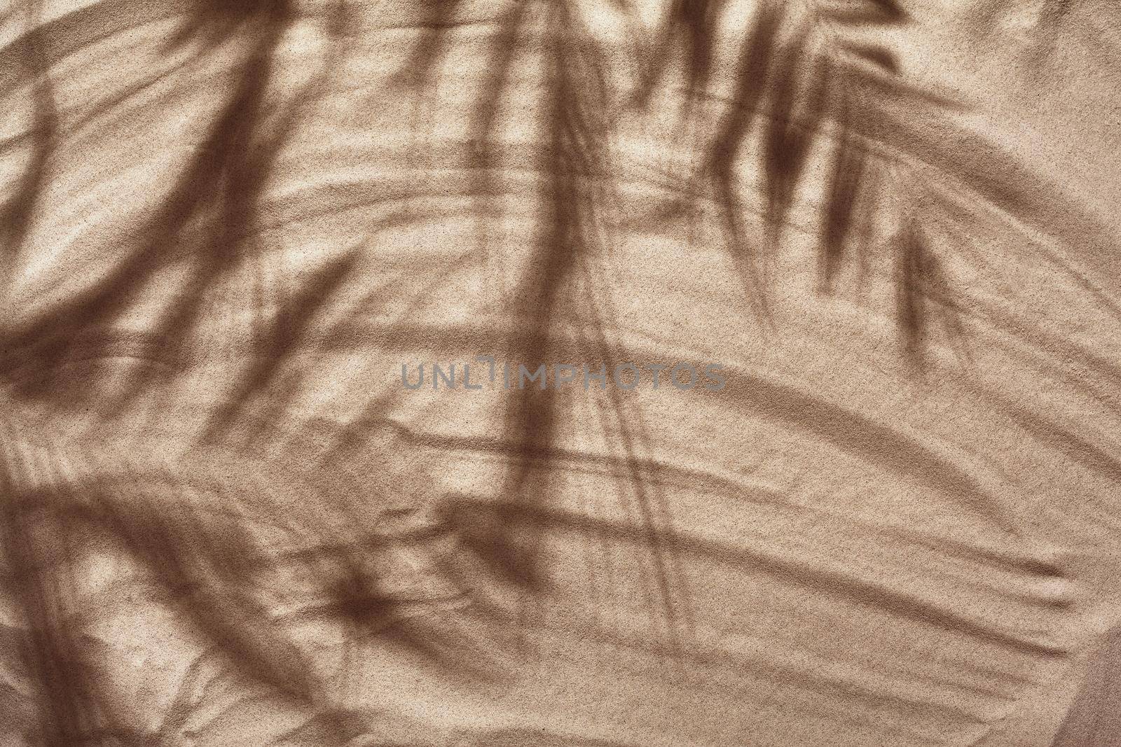 Summer concept with a shadow of a tropical palm tree leaves, copyspace on a white beach sand. by nazarovsergey