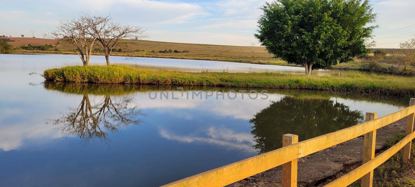 lake with a natural landscape of a farm in the countryside of Brazil with trees and lawn around it