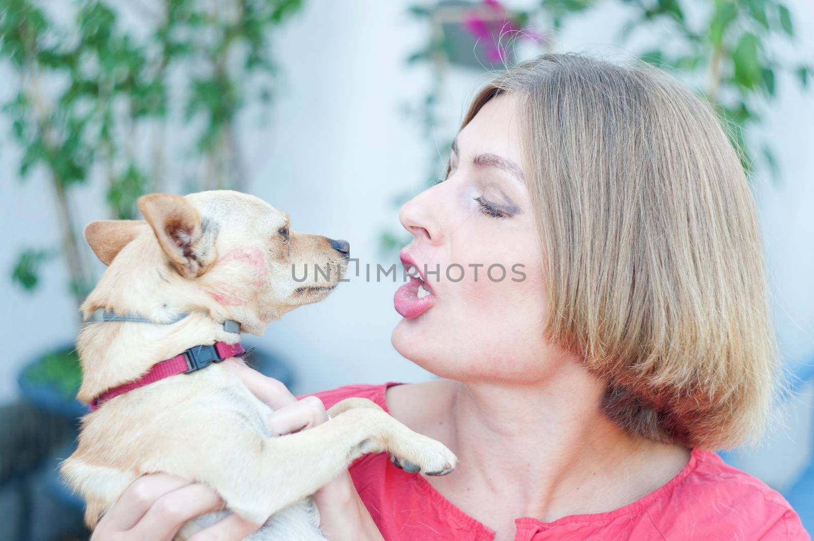 portrait beautiful young blonde smiling and pet dog Chihuahua by KaterinaDalemans