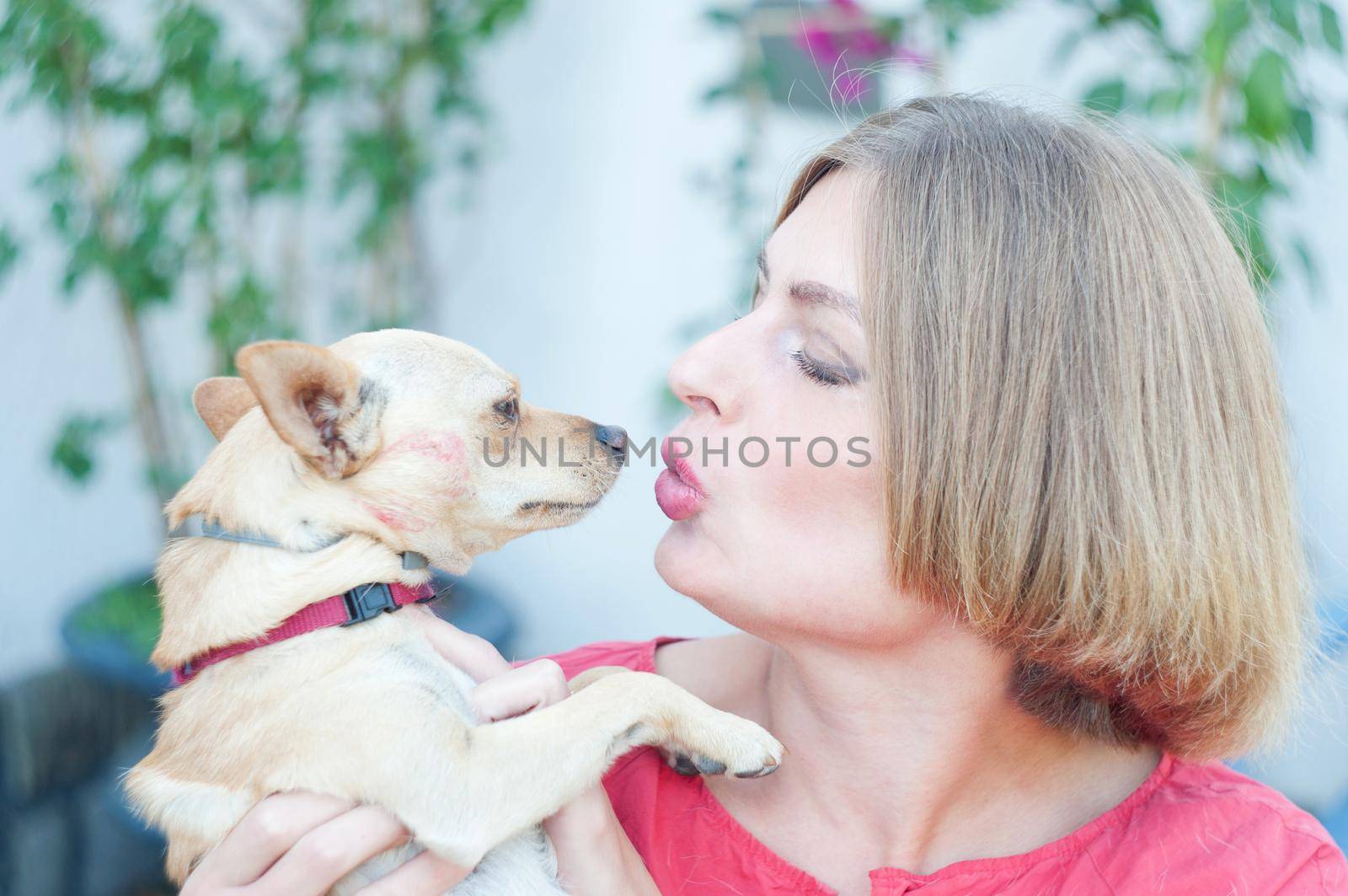 portrait beautiful young blonde smiling and pet dog Chihuahua. High quality photo