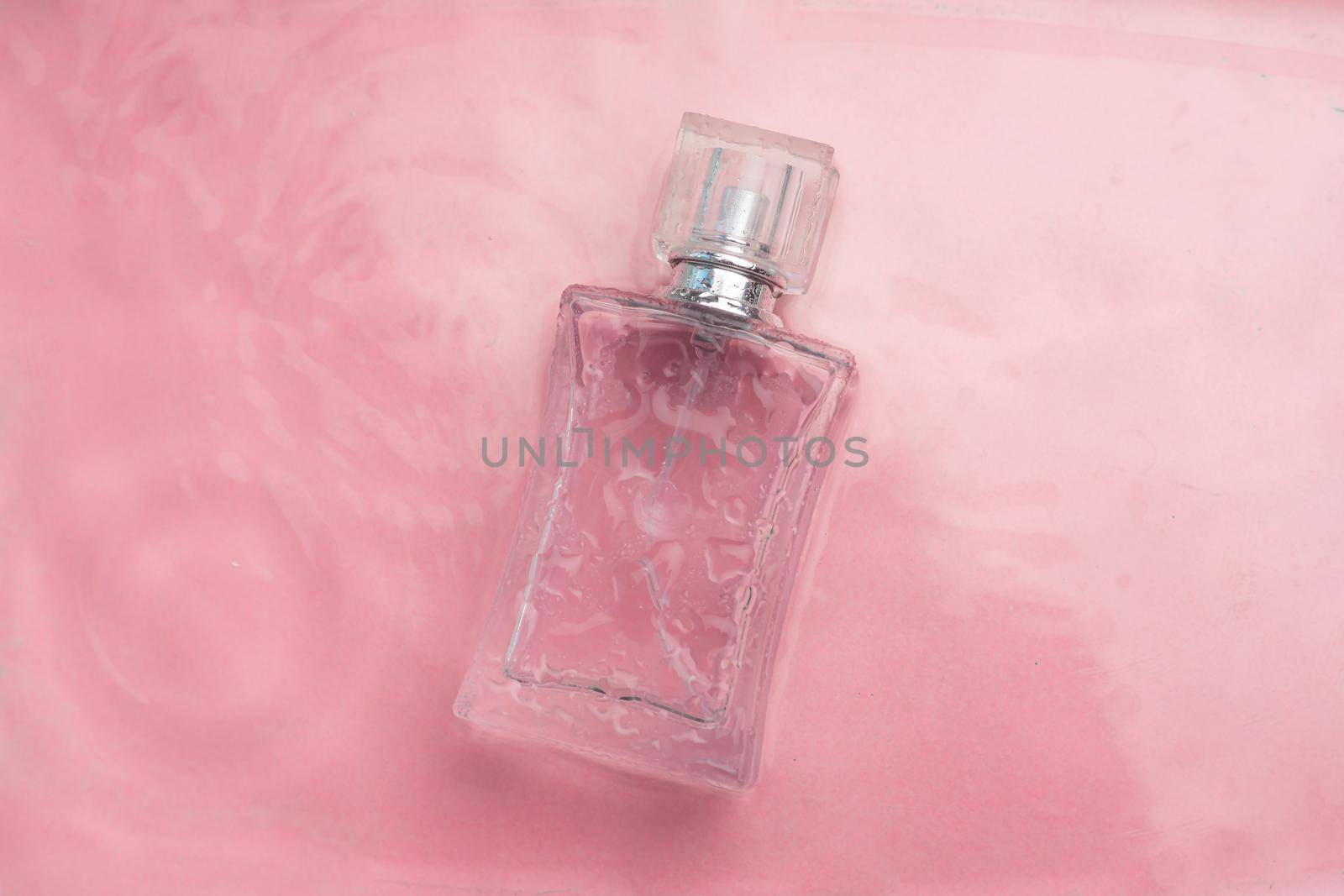 Perfume bottle on the background and water drops. A bottle of perfume without inscriptions . Smell. Perfume on a pink background. Water drops. Copy space. Article about the choice of perfume