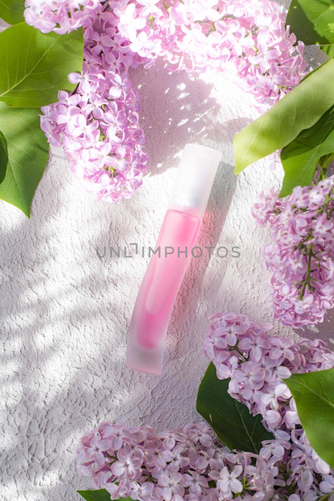 Pink perfume bottle and lilac branch light and shade. The concept of advertising perfumes. A bottle of perfume without text. Floral aromatherapy layout . Copy space