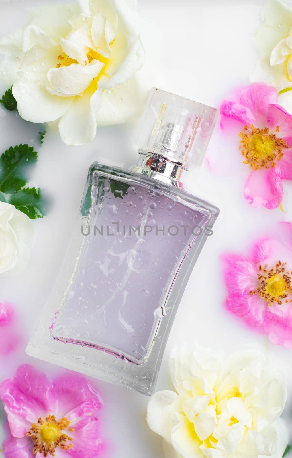 Perfume bottles with flowers . The choice of fragrance. Cosmetology. Cosmetic products. An article about perfume. by alenka2194