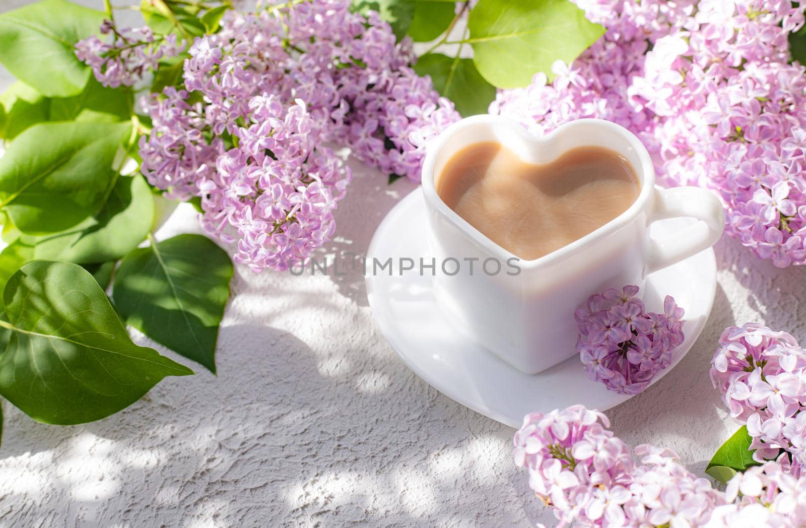 Cappuccino coffee in a cup and a branch of lilac on a white background with shadows . A hot drink. relax. The concept of cafeteria advertising. Article about cappuccino. Making cappuccino. Lilac branches. Spring. Copy space