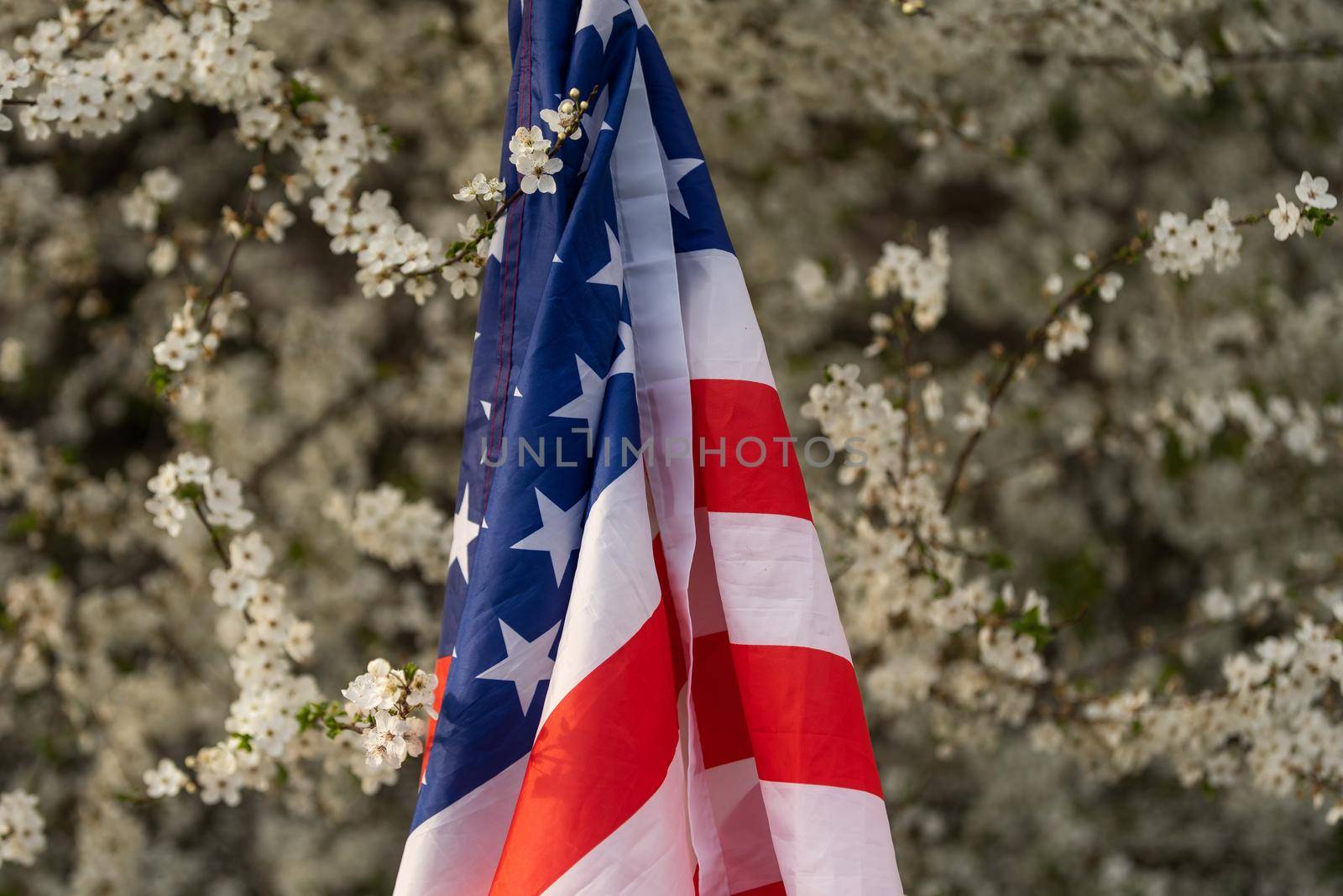 American flags in flowers on the Fourth of July by Andelov13