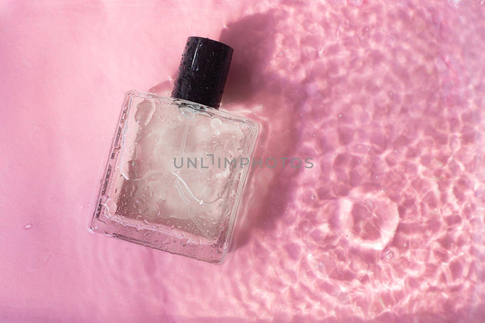 Perfume bottle on the background and water drops. A bottle of perfume without inscriptions . Smell. Perfume on a pink background. Water drops. Copy space. by alenka2194