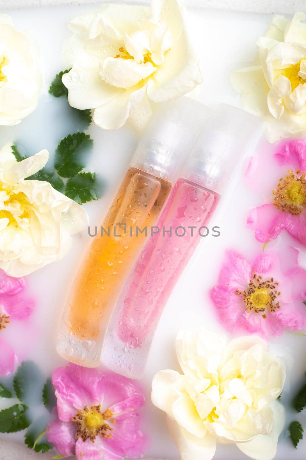 Perfume bottles with flowers . The choice of fragrance. Cosmetology. Cosmetic products. An article about perfume. Copy space.