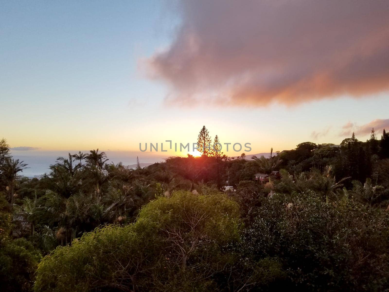 Sunset behind the Tantalus mountain past tropical silhouette of trees through the clouds over the ocean on Oahu, Hawaii.