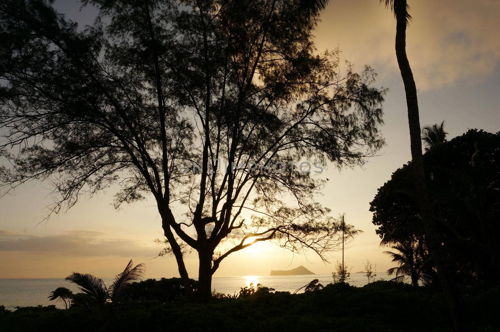 Early Morning Sunrise on Waimanalo Beach on Oahu, Hawaii over ocean by Rabbit and Rock Island bursting through the trees. 2017.