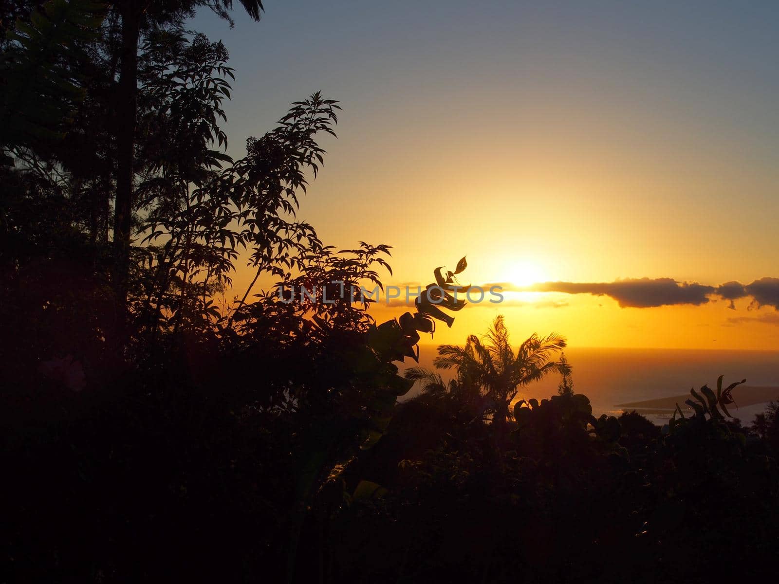 Sunset behind the Tantalus mountain past tropical silhouette of trees through the clouds on Oahu, Hawaii.  February 3, 2016.