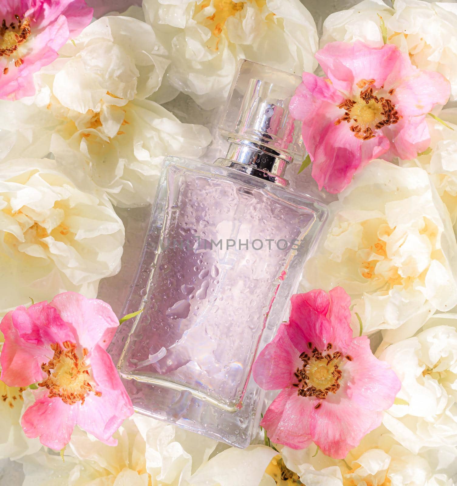 Perfume bottles with flowers . The choice of fragrance. Cosmetology. Cosmetic products. An article about perfume. Copy space.