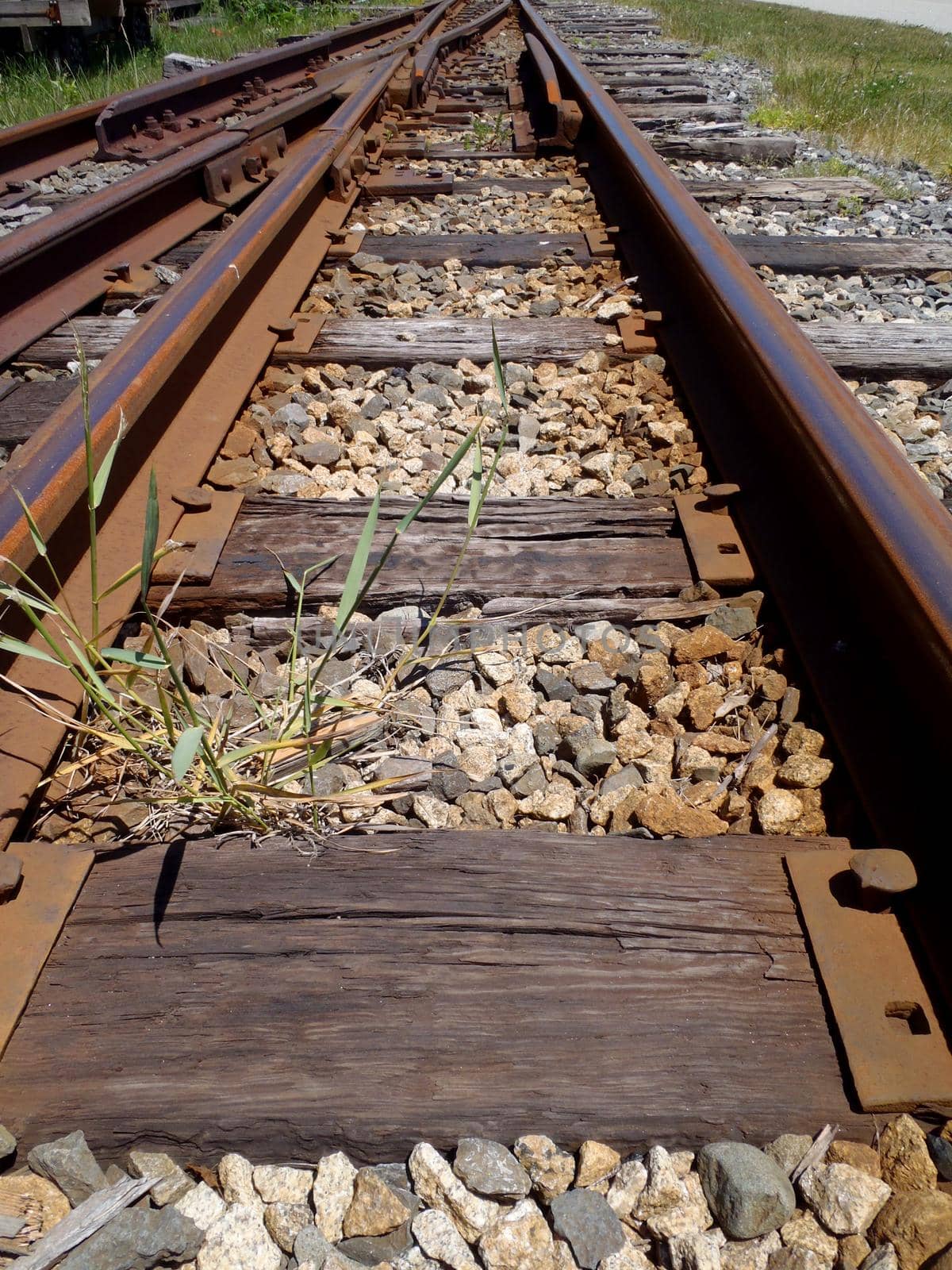 Railroad tracks running into distance with a track switch with grass growing and rocks in between tracks