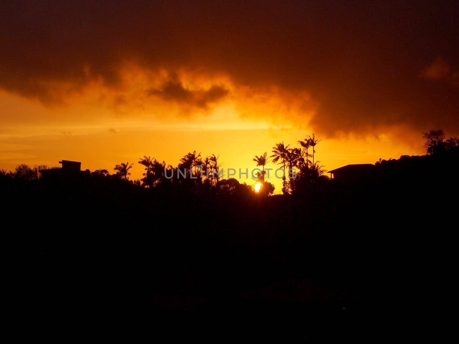 Sunset behind the Tantalus mountain past tropical silhouette of trees through the clouds on Oahu, Hawaii.