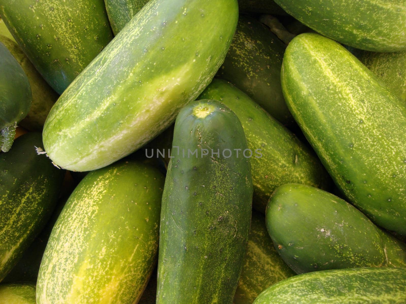 Cucumbers at Farmers Market in San Francisco.
