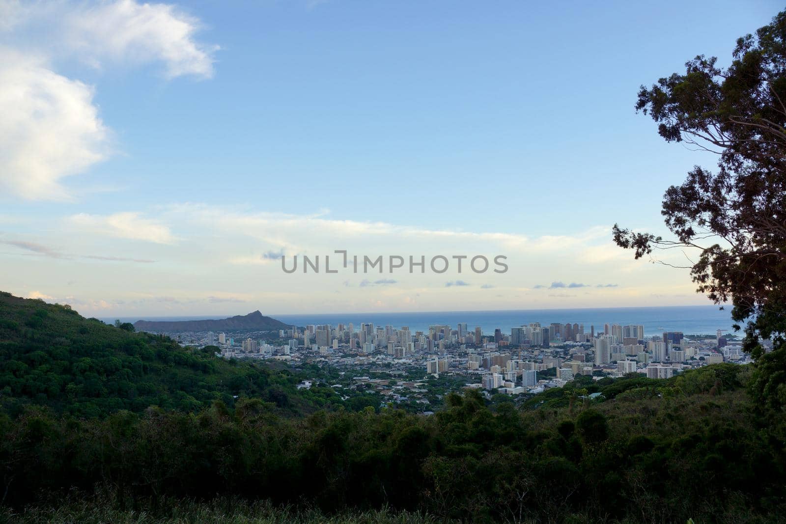 Mountain view of The city of Honolulu from Diamond head to Manoa by EricGBVD