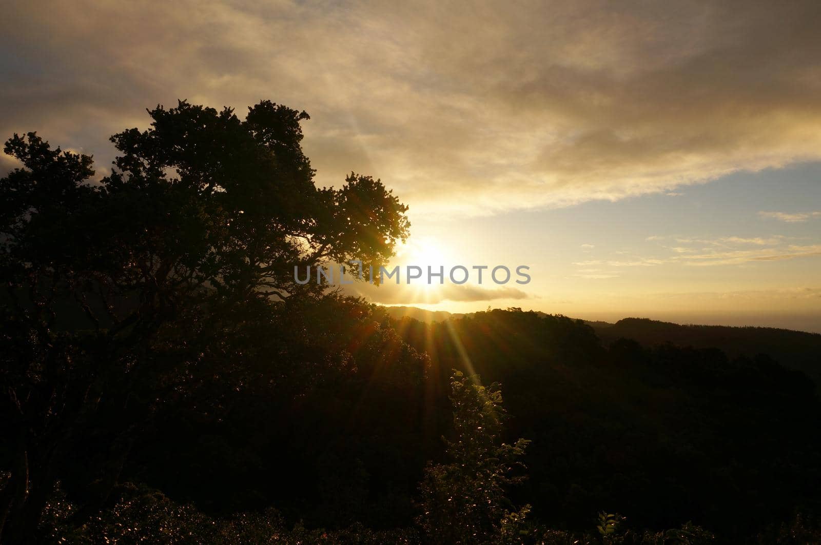 Sunset behind the Tantalus mountain past tropical silhouette of trees through the clouds on Oahu, Hawaii.