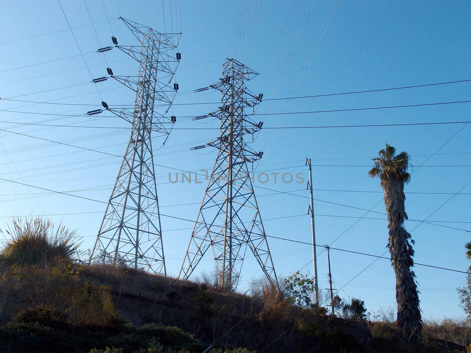 High Voltage Power Lines intersect at two large metal Utility pole with palm tree against a blue sky in Los Angeles, California.