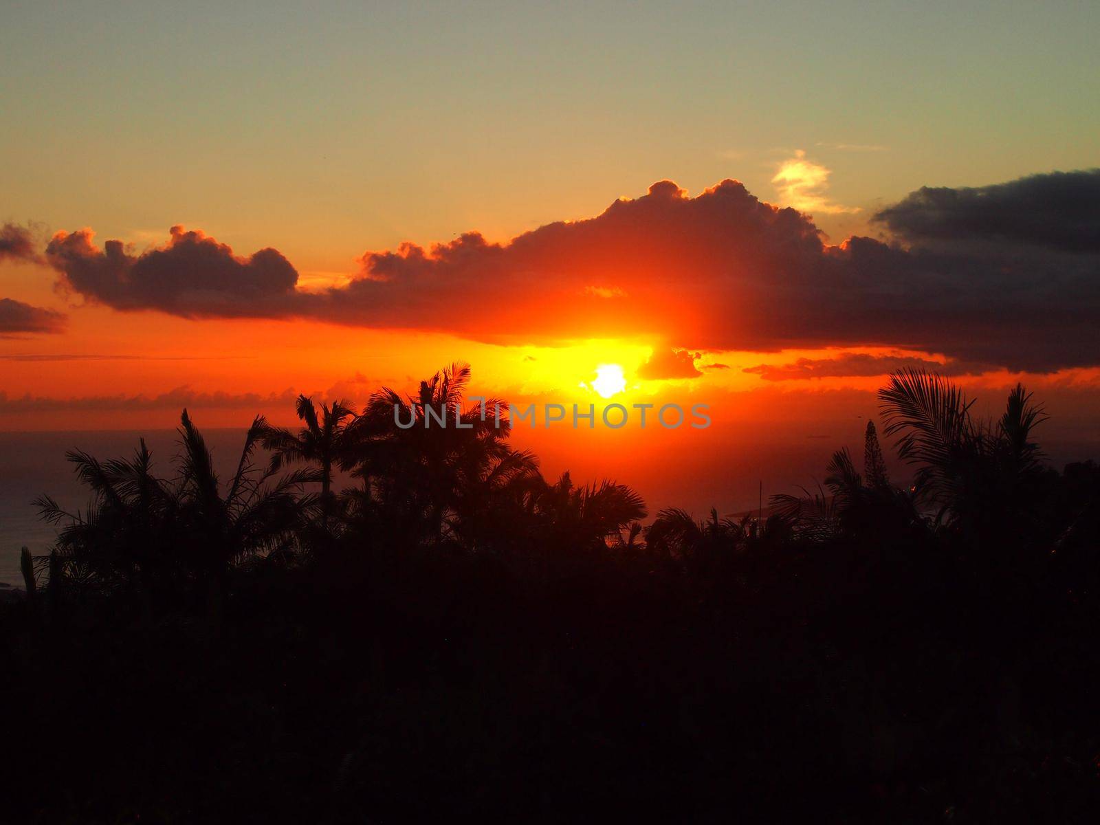 Sunset through the clouds over the ocean seen from Tantalus mountain past tropical silhouette of trees   by EricGBVD