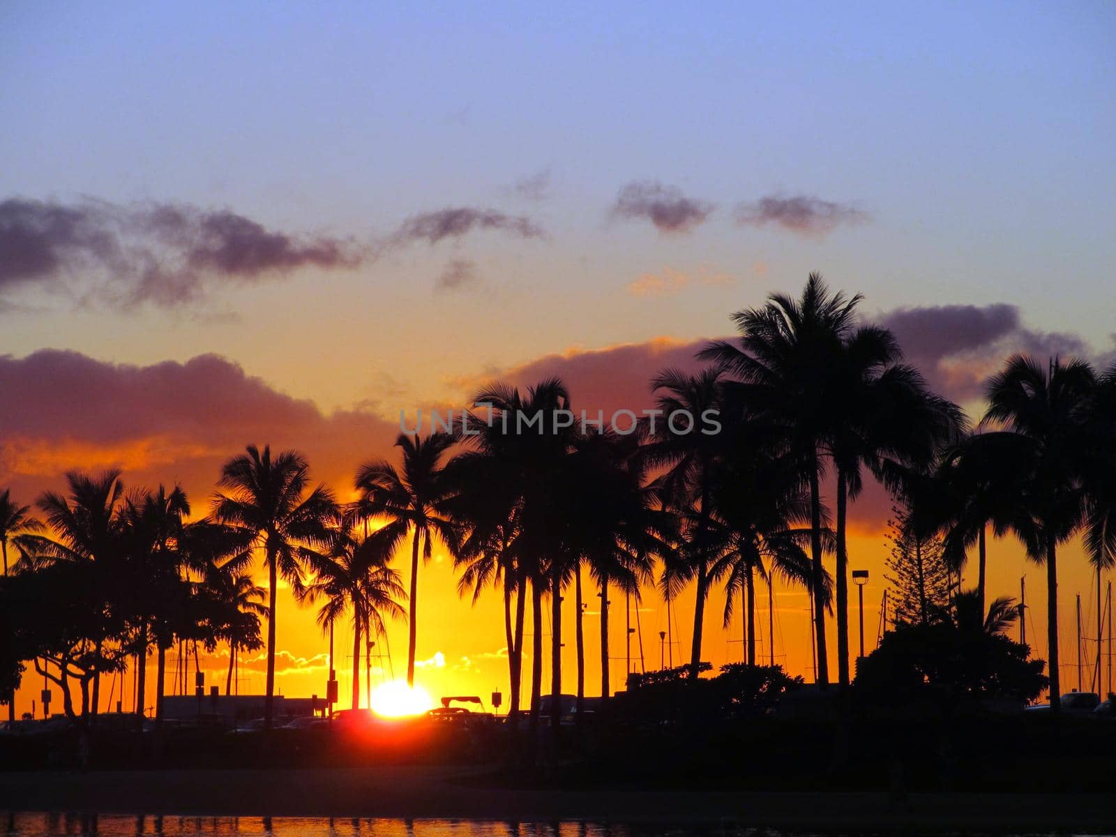 Sunsets through Coconut trees over with light reflecting on lagoon and illuminating the sky orange on Waikiki Beach on Oahu, Hawaii. February 6, 2013.
