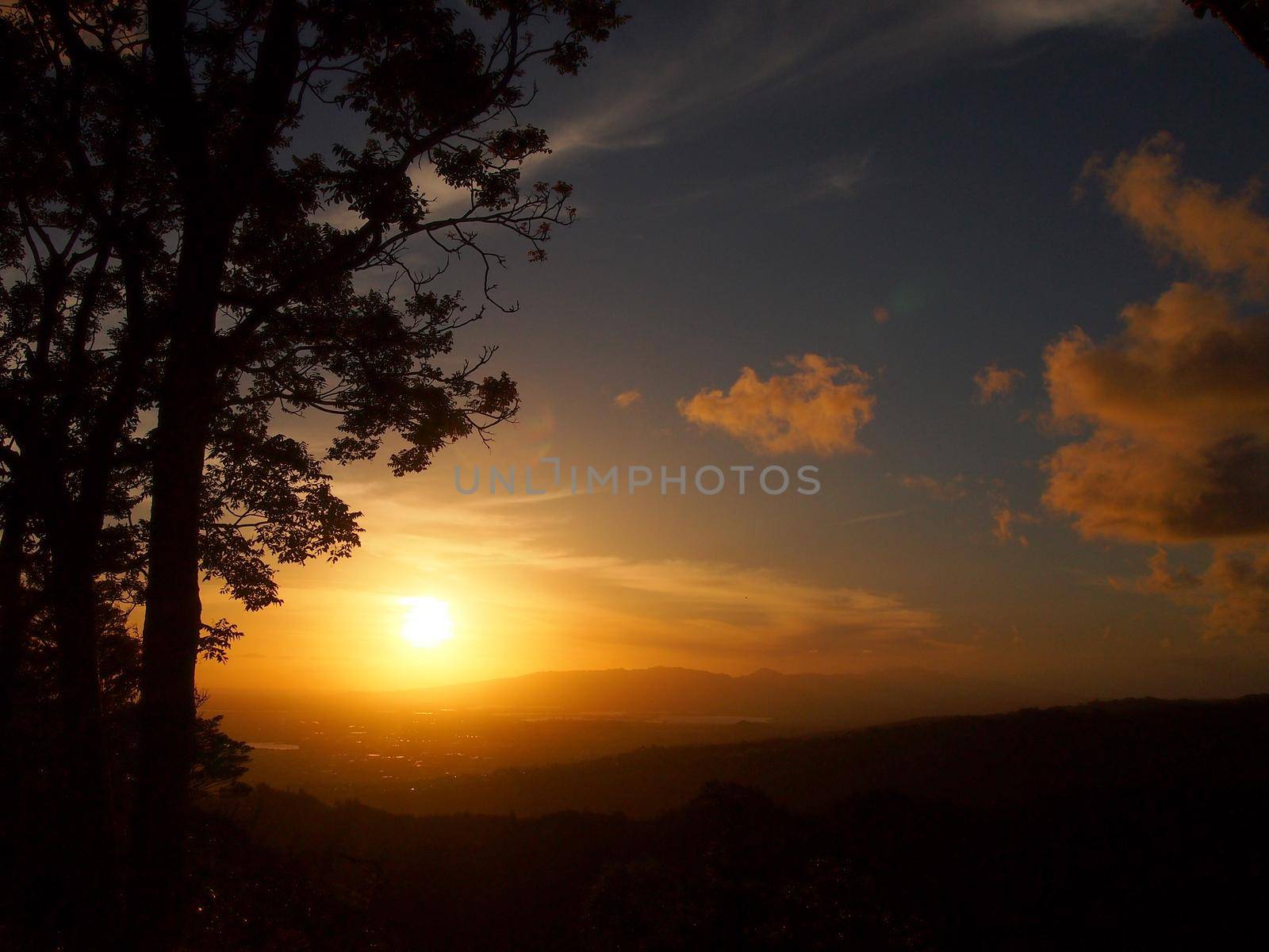 Sunset through the clouds over Honolulu seen from Tantalus mountain past tropical silhouette of trees by EricGBVD