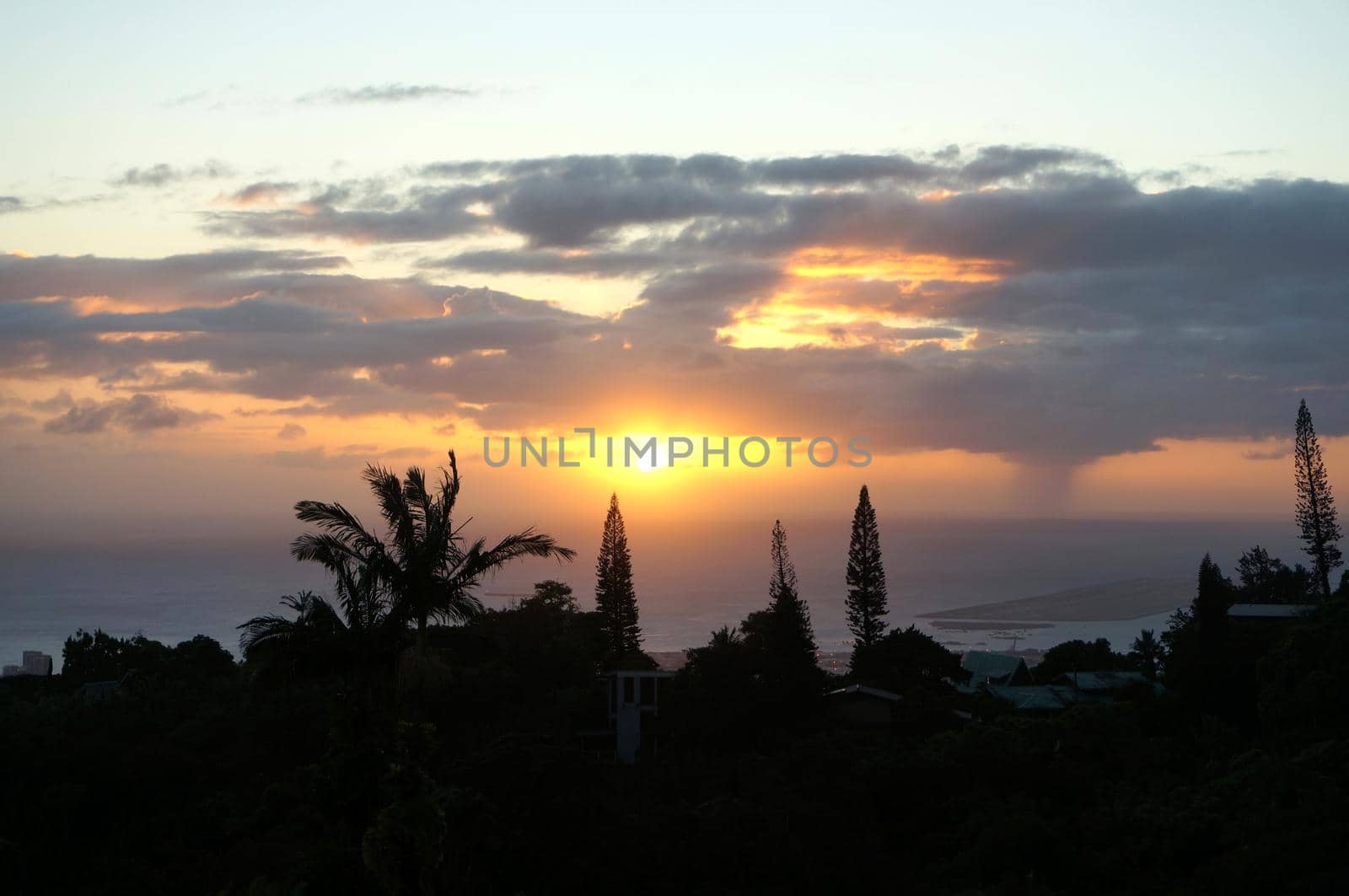 Sunset past tropical silhouette of trees through the clouds on Oahu, Hawaii.