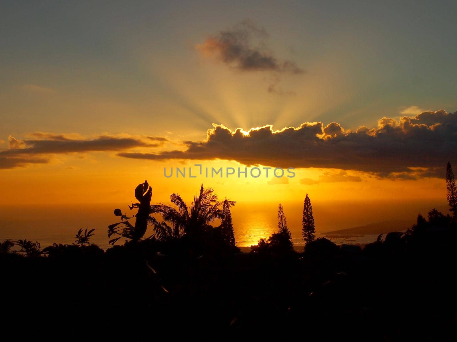 Sunset through the clouds over the ocean seen from Tantalus mountain past tropical silhouette of trees   by EricGBVD