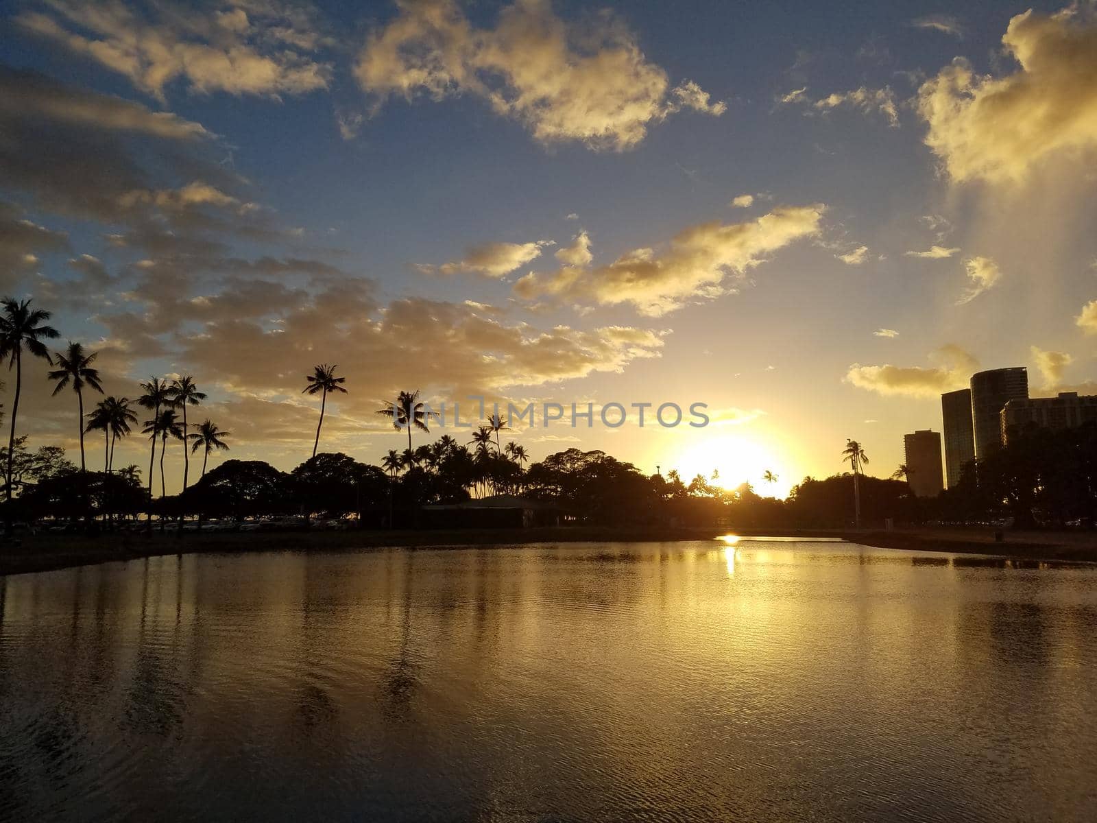 Sunset over pond surrounded by coconut trees at Ala Moana Beach Park on Oahu, Hawaii.