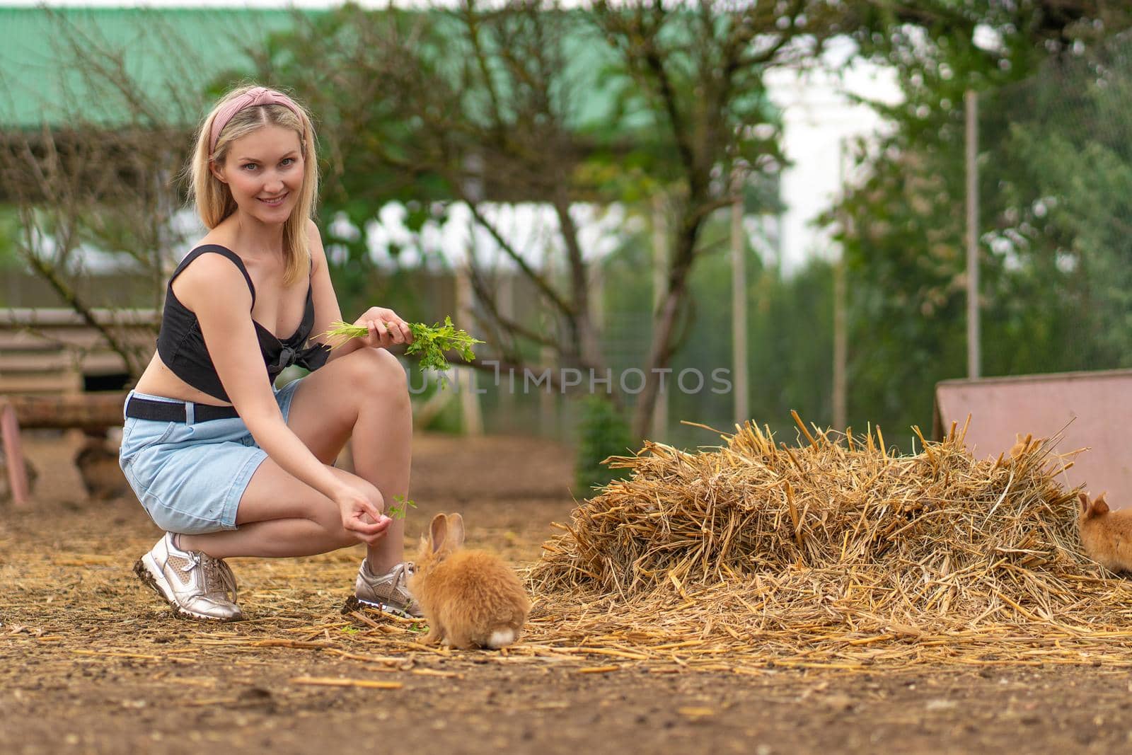 Girl easter feeds rabbit parsley brown bunny white nature green, from hare sitting in hair and summer sweet, ear bright. Vegetable lovely,