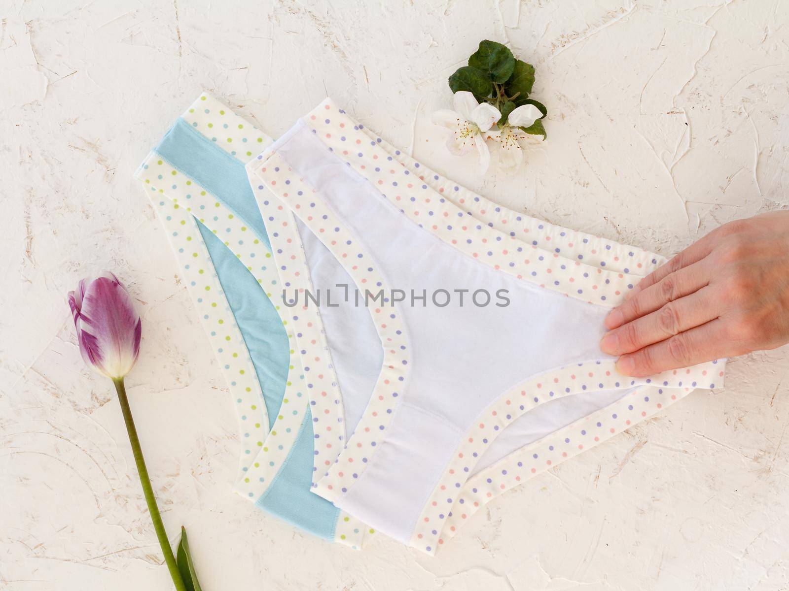 Woman's hand holding beautiful cotton panties on the white structured background with a tulip and flowers of an apple tree. Woman underwear set. Top view.