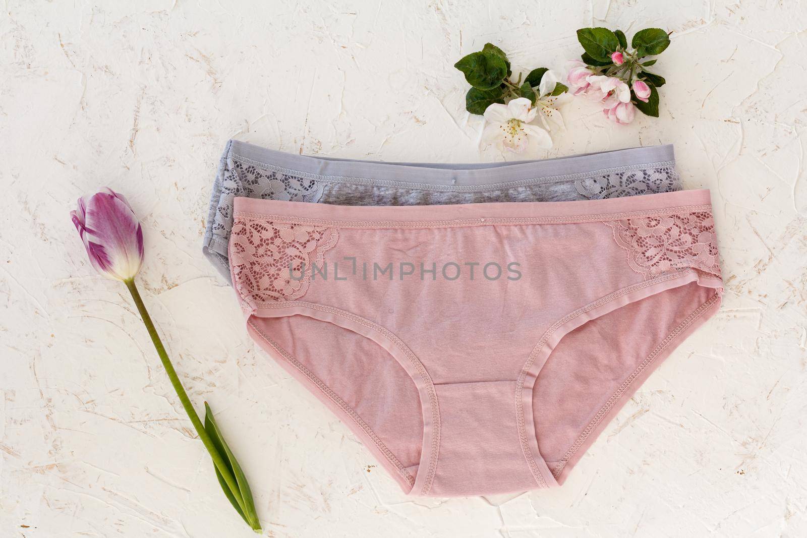 Pair of women cotton panties with a tulip and flowers of an apple tree on the white structured background. Woman underwear set. Top view.