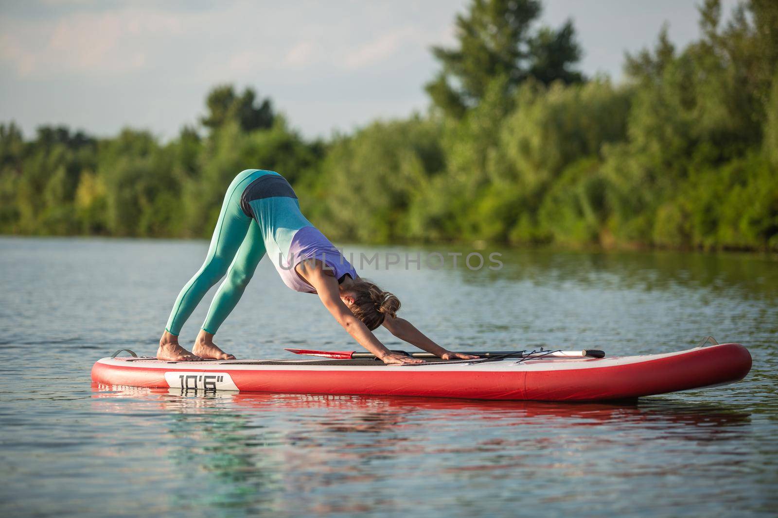 Young woman are doing yoga on a stand up paddle board SUP on a beautiful lake or river. The concept of a healthy lifestyle. Sport. Yoga. Hobby