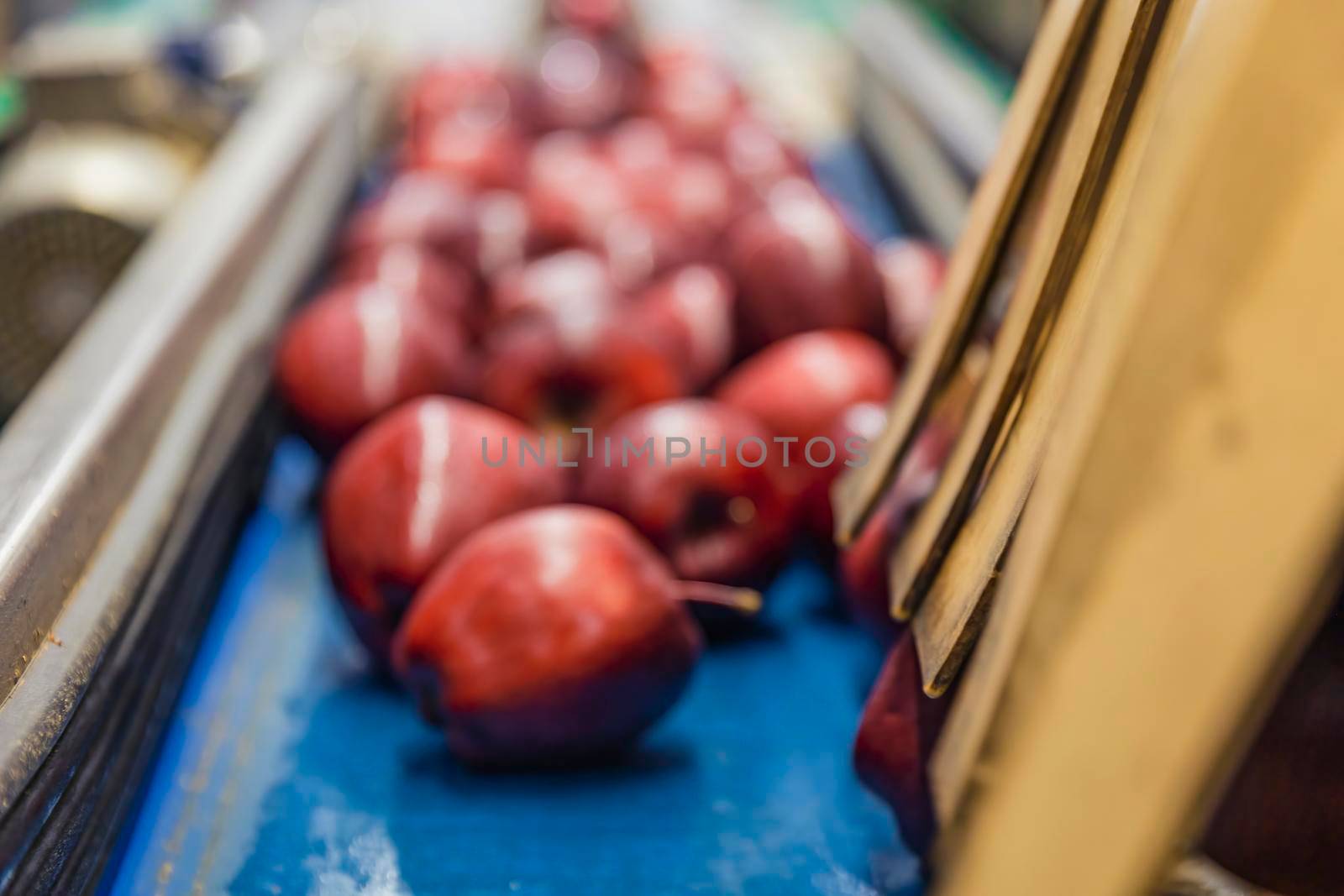 automatic movement of apples in the factory