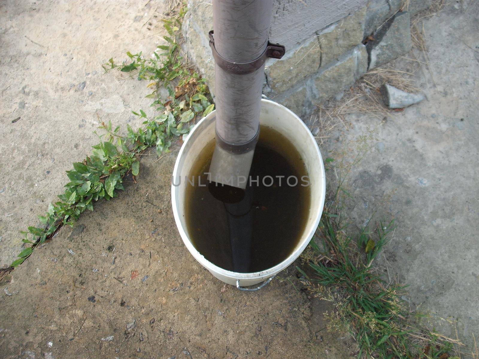 Drinking bowl for animals from rainwater collected from in the roof