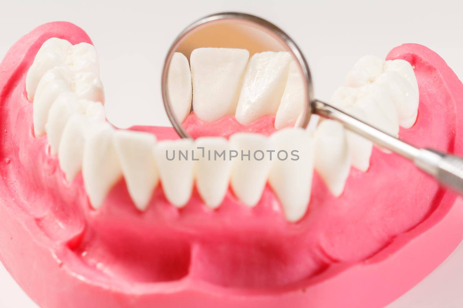 Layout of the human jaw and a metal examination mirror. Layout to demonstrate the jaw to dental students.