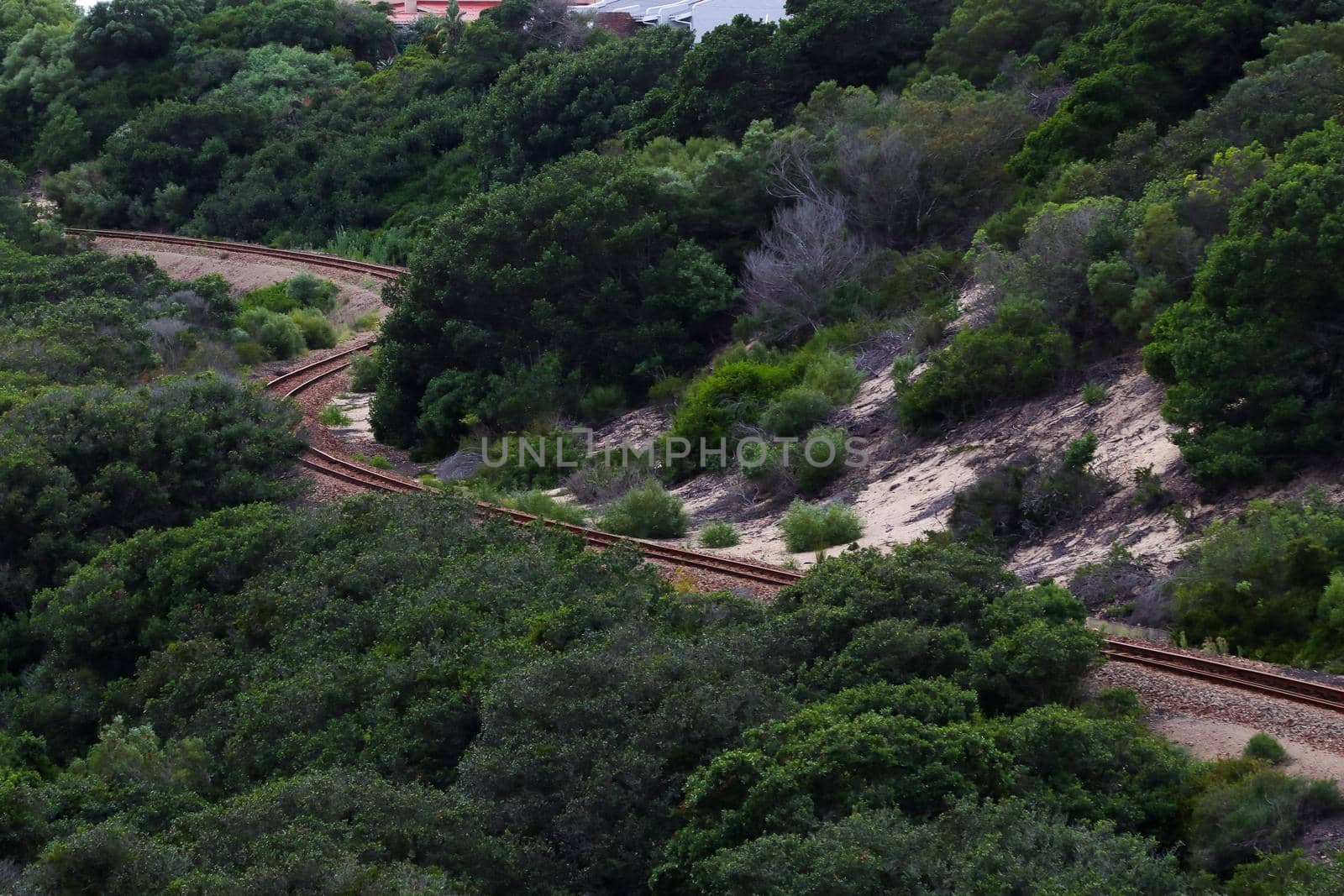 Railway Tracks Bend On Overgrown Coastal Dunes by jjvanginkel