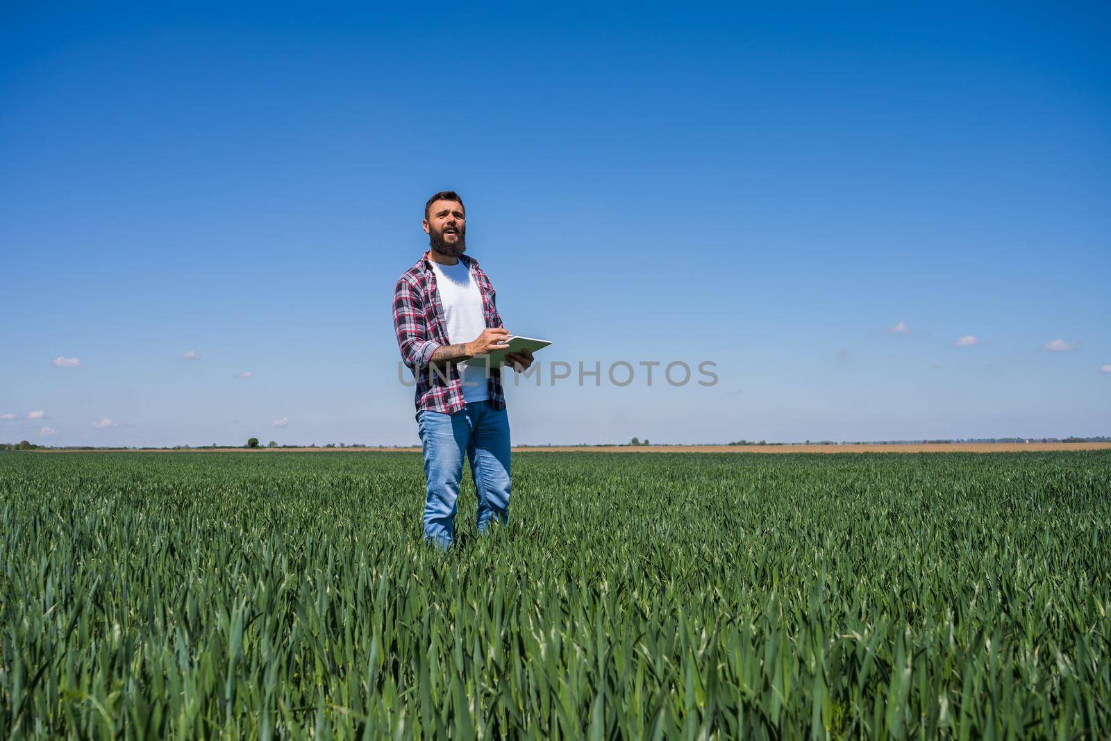 Farmer is examining the progress of crops in his barley field.