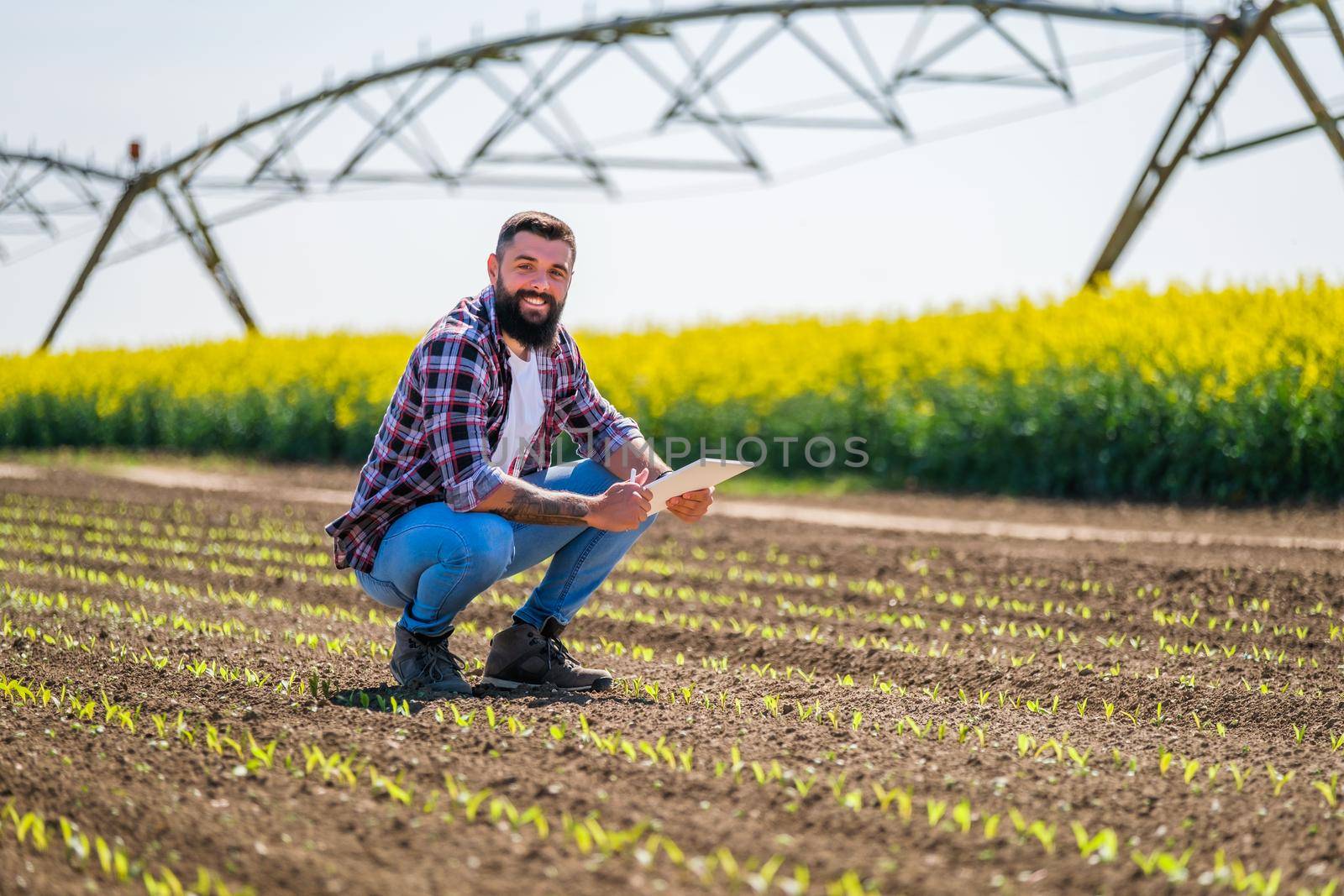 Happy farmer is examining the progress of crops in his corn field.