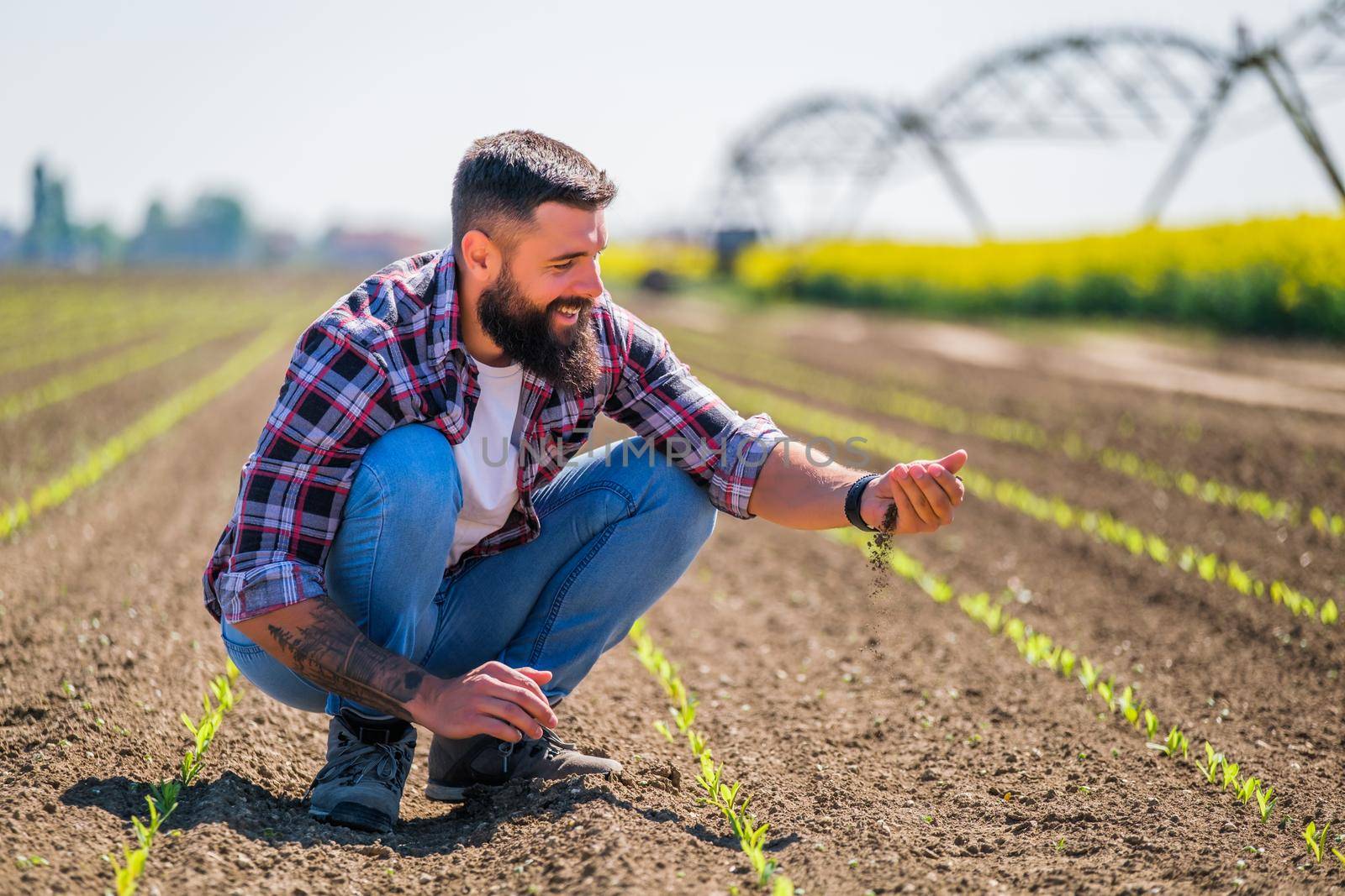 Happy farmer is examining the progress of crops in his corn field. He is satisfied with quality of his land.