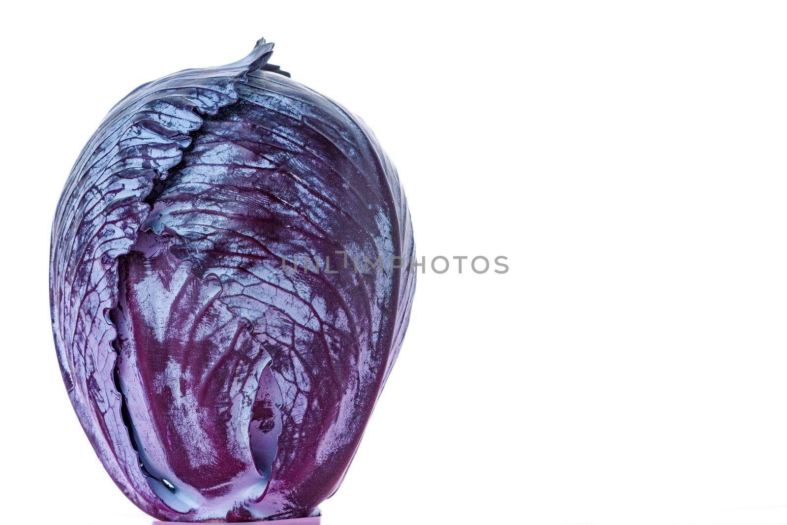purple cabbage or red cabbage isolate by joseantona
