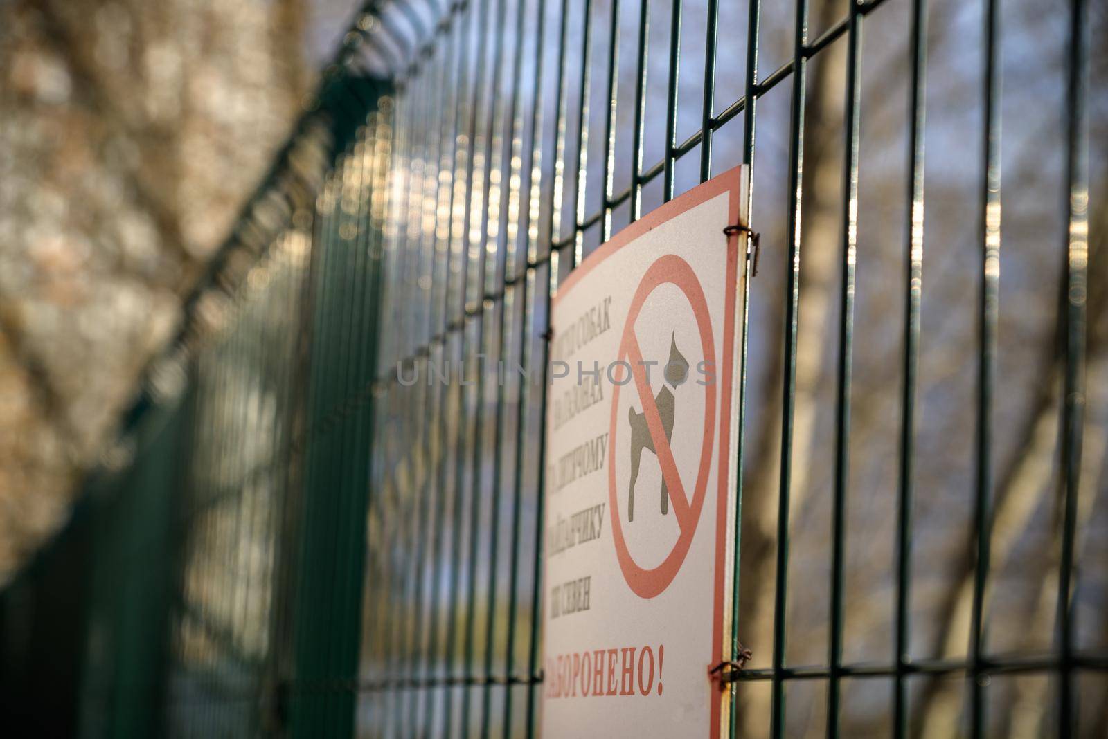 No dogs allowed sing on a fence.