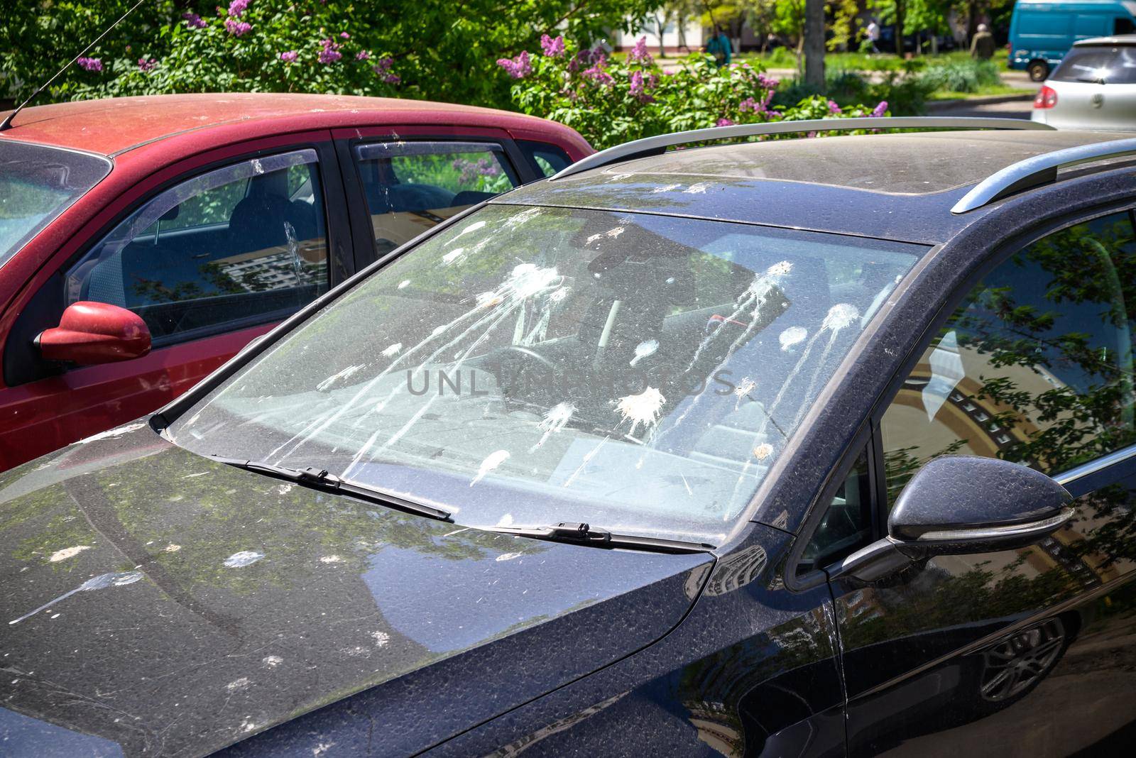 hood of car with lot of bird droppings, bad parking concept.